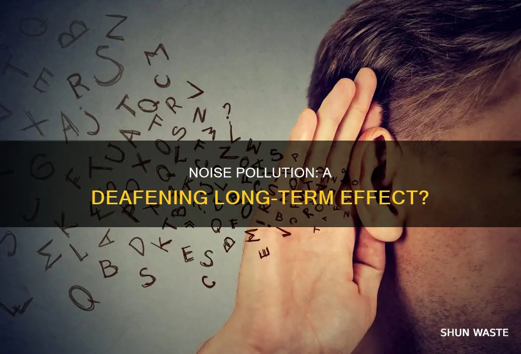 can possible long-term effect of noise pollution cause defness