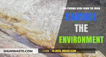 Pouring Acids Down the Drain: Environmental Risks and Consequences