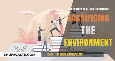 Sustainable Solutions: Balancing Poverty Alleviation and Environmental Preservation