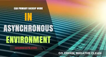 Primary Backup in Asynchronous Environments: Feasibility and Challenges Explored