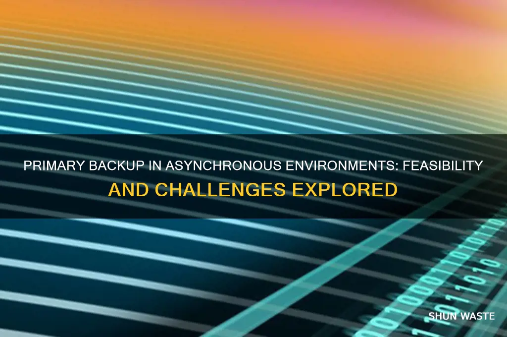 can primary backup work in asynchronous environment