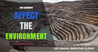 Environmental Impact of Quarries: Assessing Ecological Consequences and Sustainability