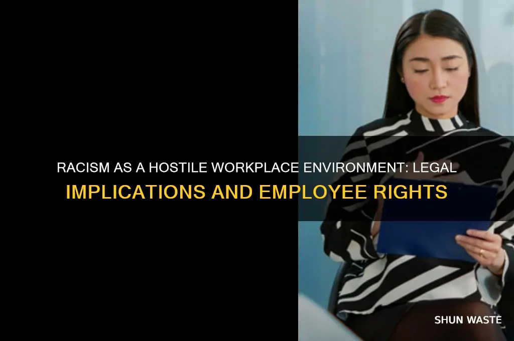 can racism file under hostile workplace environment