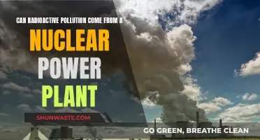 Radioactive Pollution: Nuclear Power Plant's Dark Side?