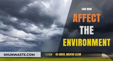 How Rainfall Impacts Ecosystems, Climate, and Environmental Balance