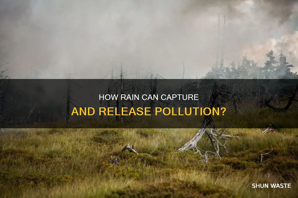 can rain capture pollution and release it