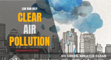 Rain's Role in Clearing Air Pollution