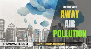 How Rain Cleanses the Air of Pollution