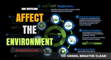 Recycling's Environmental Impact: Benefits, Challenges, and Sustainable Solutions