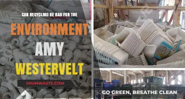 Recycling's Dark Side: Amy Westervelt Exposes Environmental Pitfalls