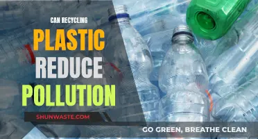 Recycling Plastic: Pollution Solution or Environmental Challenge?