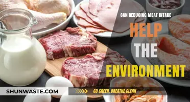 Cutting Meat Consumption: A Powerful Step for Environmental Sustainability