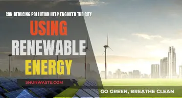 Renewable Energy: Engineering Cities, Reducing Pollution