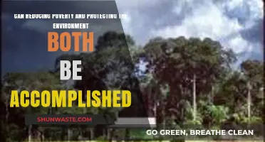 Balancing Progress: Can Poverty Reduction and Environmental Protection Coexist?