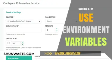 Using Environment Variables in Registry: Best Practices and Benefits
