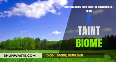 Environmental Impact: Releasing Flux from Tainted Biomes – Risks and Concerns