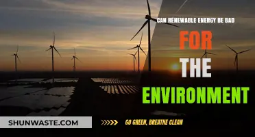 Renewable Energy's Environmental Impact: Uncovering Hidden Costs and Trade-Offs
