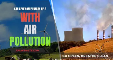 Renewable Energy: Air Pollution's Solution?