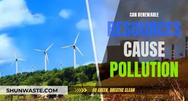 Renewable Resources: Pollution Paradox?