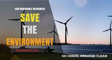 Renewable Resources: The Key to Saving Our Environment?