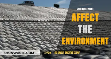 Revetment's Environmental Impact: Balancing Coastal Protection and Ecosystem Health