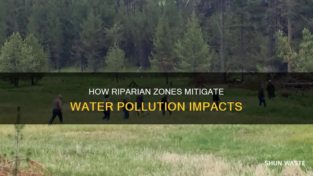 can riparian zones reduce the impact of water pollution