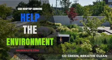 Rooftop Gardens: A Green Solution for Urban Environmental Challenges