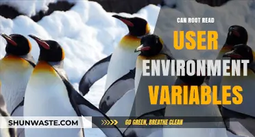 Can Root Access User Environment Variables? Exploring Linux Permissions