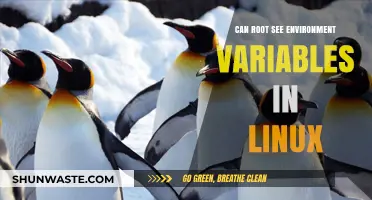 Can Linux Root Access and View Environment Variables? Explained