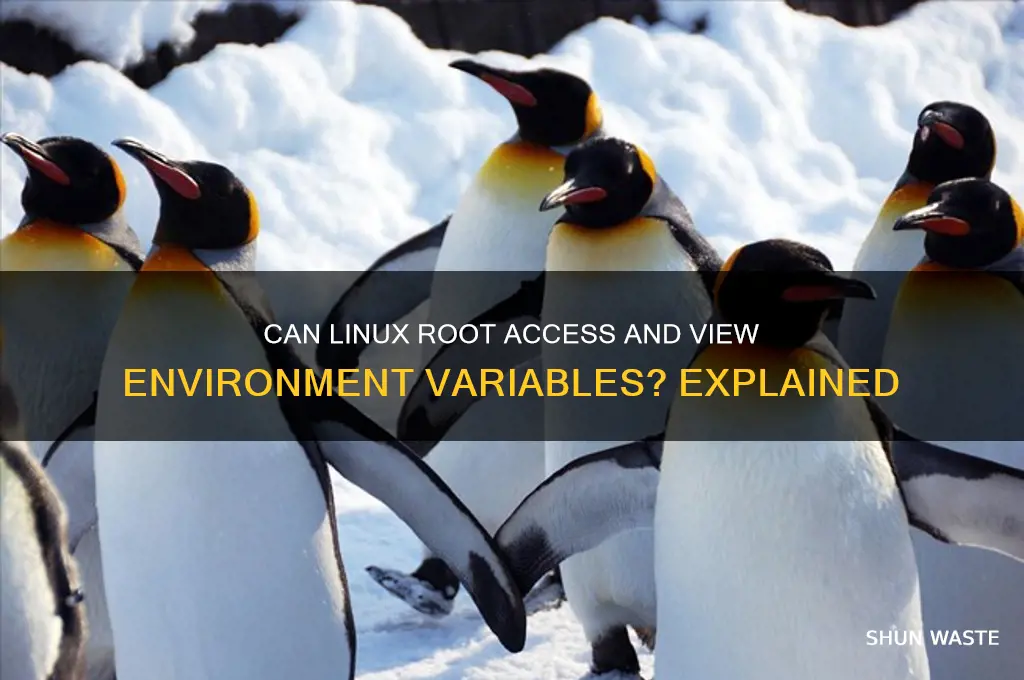 Can Linux Root Access And View Environment Variables? Explained | ShunWaste