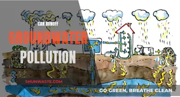 Groundwater Runoff: Can Pollution Be Prevented?