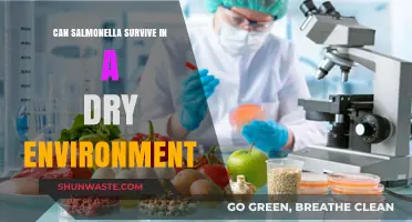 Can Salmonella Survive in Dry Conditions? Uncovering the Truth