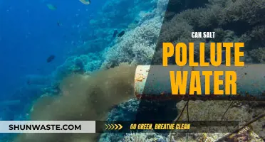 Salt's Impact: Polluting Waterways and Beyond