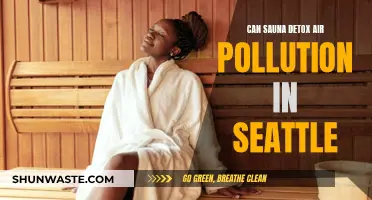 Sauna Sessions: Detoxing from Seattle's Air Pollution