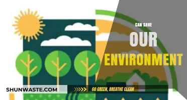 Sustainable Actions: How We Can Save Our Environment Today