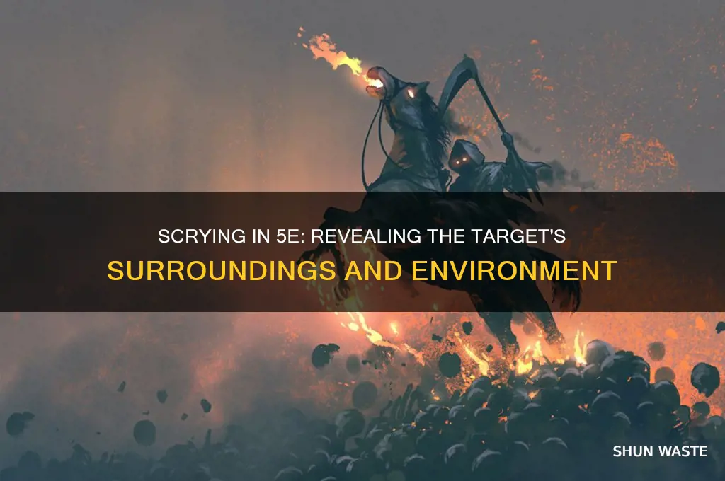 can scrying in 5e show environment around target
