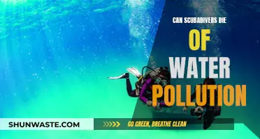 Scuba Divers and Water Pollution: A Deadly Risk?