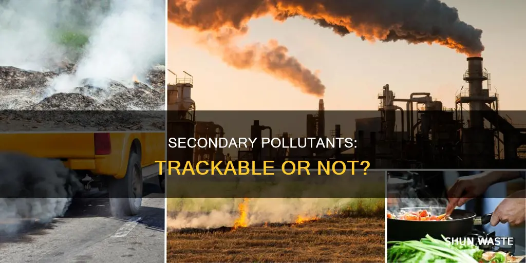 can secondary pollutants be directly tracked