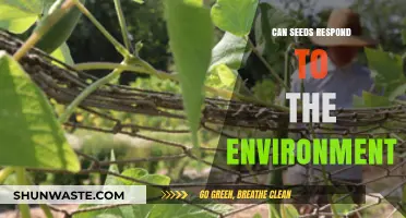 Seeds' Environmental Sensitivity: How They Adapt and Respond to Surroundings