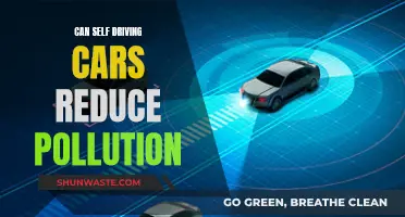 Self-Driving Cars: Pollution Solution or Problem?