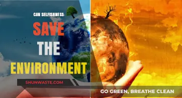 Selfish Sustainability: How Individual Gain Can Drive Environmental Preservation