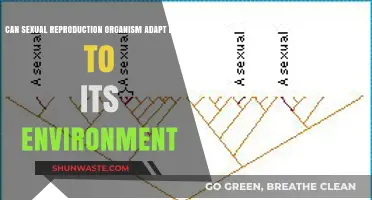 Sexual Reproduction: Enhancing Environmental Adaptation in Organisms?