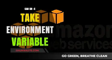 Using sh -c with Environment Variables: A Comprehensive Guide