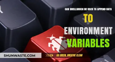 Shellshock Vulnerability: Appending Data to Environment Variables Explained