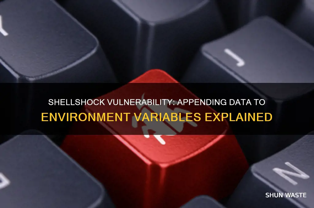 can shellshock be used to append data to environment variables