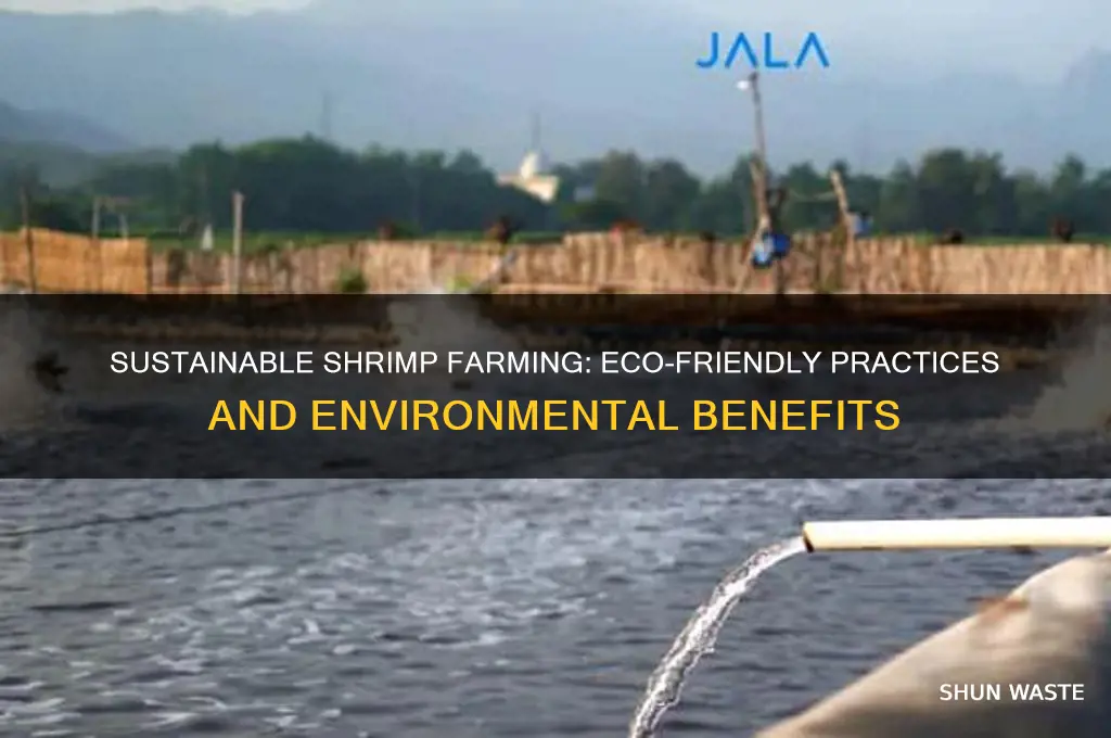 can shrimp farming be good for the environment