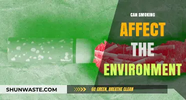 Smoking's Hidden Impact: How Cigarettes Harm Our Environment