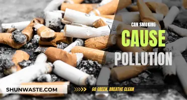 Smoking: A Major Pollutant and Health Hazard