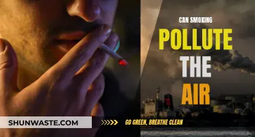 Smoking: Air Polluter and Health Hazard