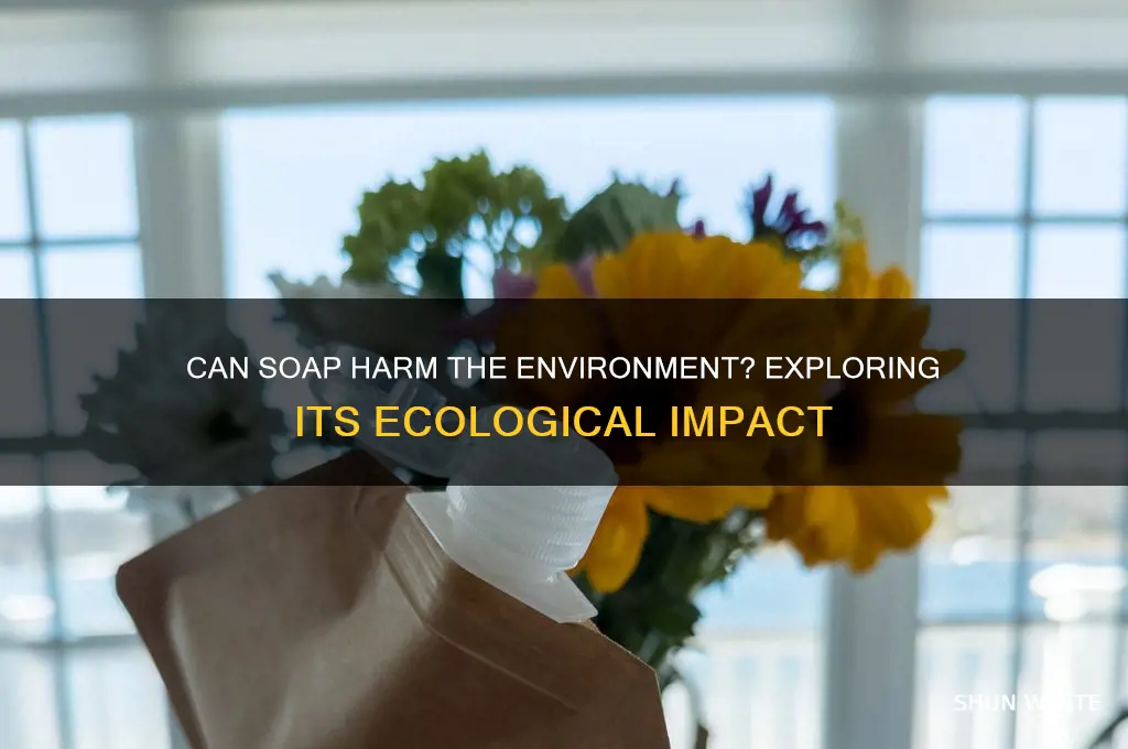 can soap harm the environment